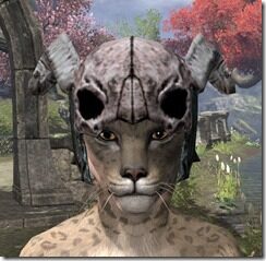 Wood-Elf-Helm-2-Khajiit-Female-Front_thumb.jpg