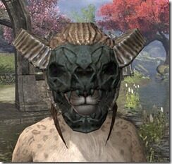 Wood-Elf-Helm-3-Khajiit-Female-Front_thumb.jpg