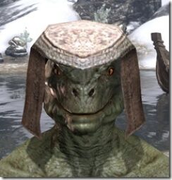 Wood-Elf-Helmet-1-Argonian-Male-Front_thumb.jpg