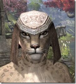 Wood-Elf-Helmet-1-Khajiit-Female-Front_thumb.jpg