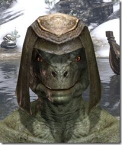 Wood-Elf-Helmet-2-Argonian-Male-Front_thumb.jpg
