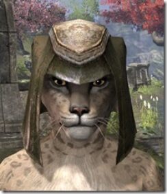Wood-Elf-Helmet-2-Khajiit-Female-Front_thumb.jpg