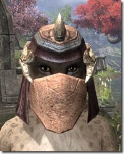 Wood-Elf-Helmet-3-Khajiit-Female-Front_thumb.jpg