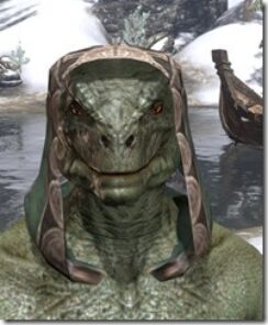 Yokudan-Homespun-Hat-Argonian-Male-Front_thumb.jpg