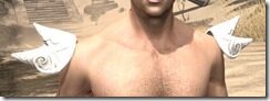 Anequina-Homespun-Epaulets-Male-Front_thumb.jpg