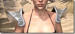Anequina-Iron-Pauldrons-Female-Front_thumb.jpg