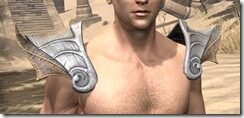 Anequina-Iron-Pauldrons-Male-Front_thumb.jpg