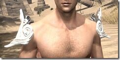 Anequina-Rawhide-Arm-Cops-Male-Front_thumb.jpg