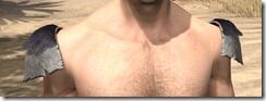 Coldsnap-Homespun-Epaulets-Male-Front_thumb.jpg