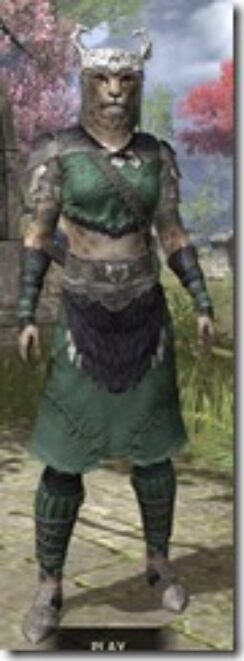 Coldsnap-Homespun-Khajiit-Female-Shirt-Front_thumb.jpg