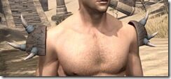 Coldsnap-Iron-Pauldrons-Male-Front_thumb.jpg
