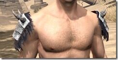 Coldsnap-Rawhide-Arm-Cops-Male-Front_thumb.jpg