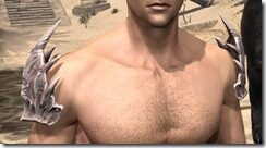 Dragon-Bone-Medium-Arm-Cops-Male-Front_thumb.jpg