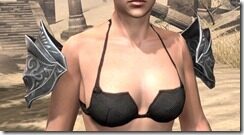 Meridian-Iron-Pauldrons-Female-Front_thumb.jpg