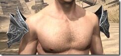 Meridian-Iron-Pauldrons-Male-Front_thumb.jpg