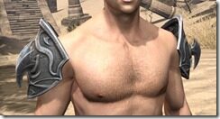 Meridian-Rawhide-Arm-Cops-Male-Front_thumb.jpg