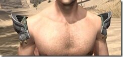 Pellitine-Homespun-Epaulets-Male-Front_thumb.jpg