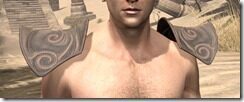 Pellitine-Iron-Pauldrons-Male-Front_thumb.jpg