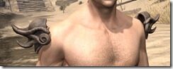 Pellitine-Rawhide-Arm-Cops-Male-Front_thumb.jpg