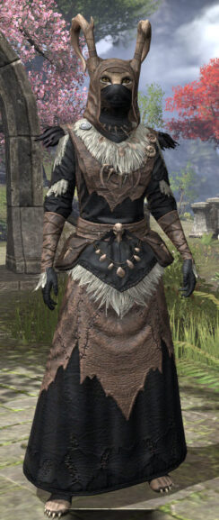 Glenmoril Wyrd - Khajiit Female Robe Front