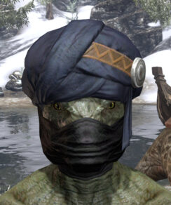 Black Kiergo Brigand Hat - Argonian Male Front