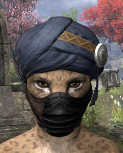 Black Kiergo Brigand Hat - Khajiit Female Front