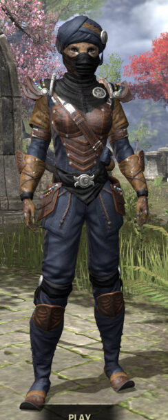 Black Kiergo Brigand - Khajiit Female Front