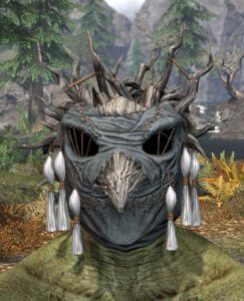 Icereach Coven Homespun Hat - Argonian Male Front