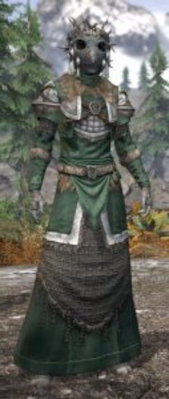 Icereach Coven Homespun - Khajiit Female Robe Front