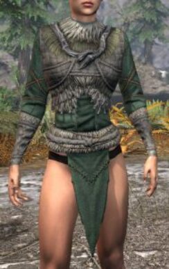 Icereach Coven Iron Cuirass - Female Front