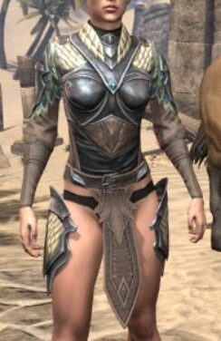 Jephrine Paladin Cuirass - Female Front