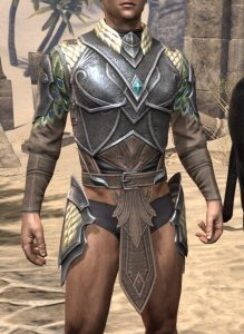 Jephrine Paladin Cuirass - Male Front
