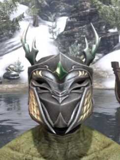 Jephrine Paladin Helm - Argonian Male Front