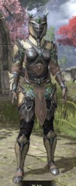 Jephrine Paladin - Khajiit Female Front