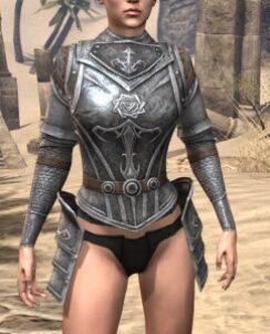 Knight of the Circle Cuirass - Female Front