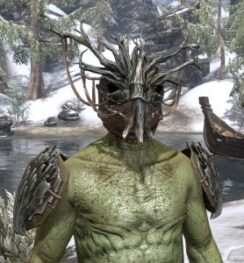 Mother Ciannait - Argonian Male Front
