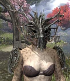 Mother Ciannait - Khajiit Female Front