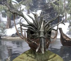 Mother Ciannait Visage - Argonian Male Front