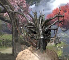 Mother Ciannait Visage - Khajiit Female Front