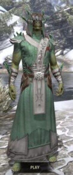 New Moon Priest Homespun - Argonian Male Robe Front