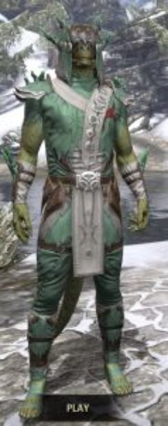 New Moon Priest Homespun - Argonian Male Shirt Front