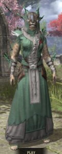 New Moon Priest Homespun - Khajiit Female Robe Front