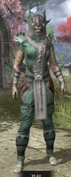 New Moon Priest Homespun - Khajiit Female Shirt Front