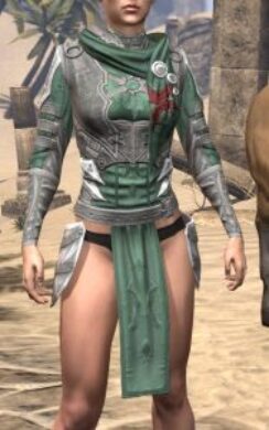 New Moon Priest Iron Cuirass - Female Front