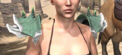 New Moon Priest Iron Pauldrons - Female Front