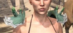 New Moon Priest Rawhide Arm Cops - Female Front