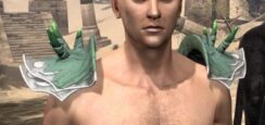 New Moon Priest Rawhide Arm Cops - Male Front