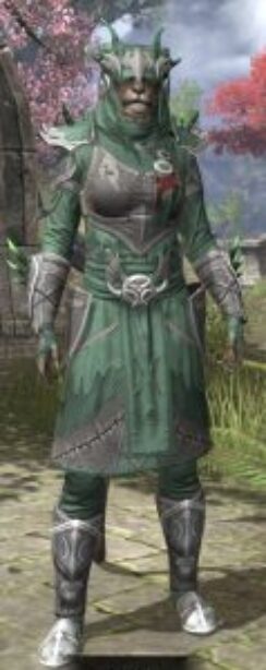 New Moon Priest Rawhide - Khajiit Female Front