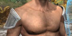 Pyre Watch Homespun Epaulets - Male Front