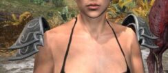 Pyre Watch Iron Pauldrons - Female Front